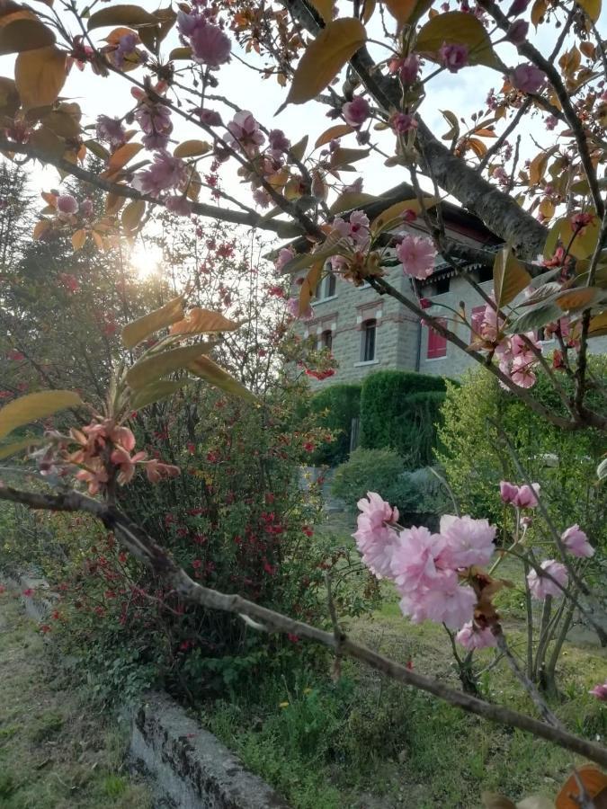 Torretta Silva Villa Belluno Esterno foto